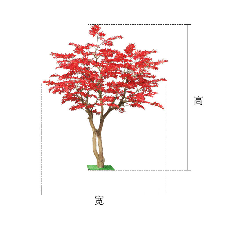 Gardening Hand Tools Japanese - Albero di acero rosso da pavimento