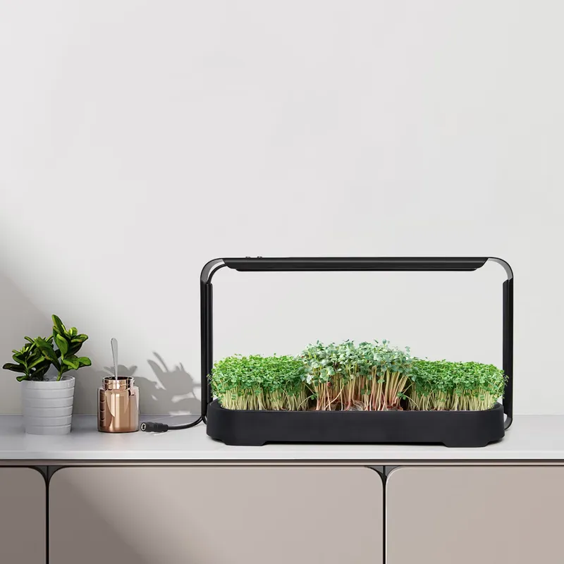 Self-Watering Planter - Sistema di coltivazione idroponica per microgreens