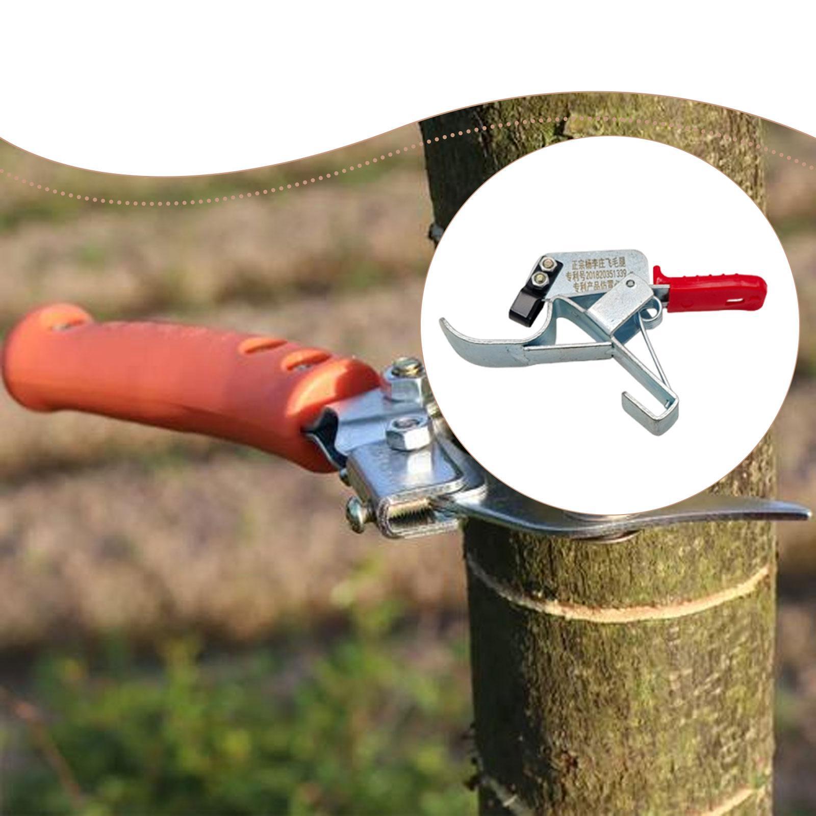 Gardening Tools Essential - 1 pz Strumento per la Fasciatura