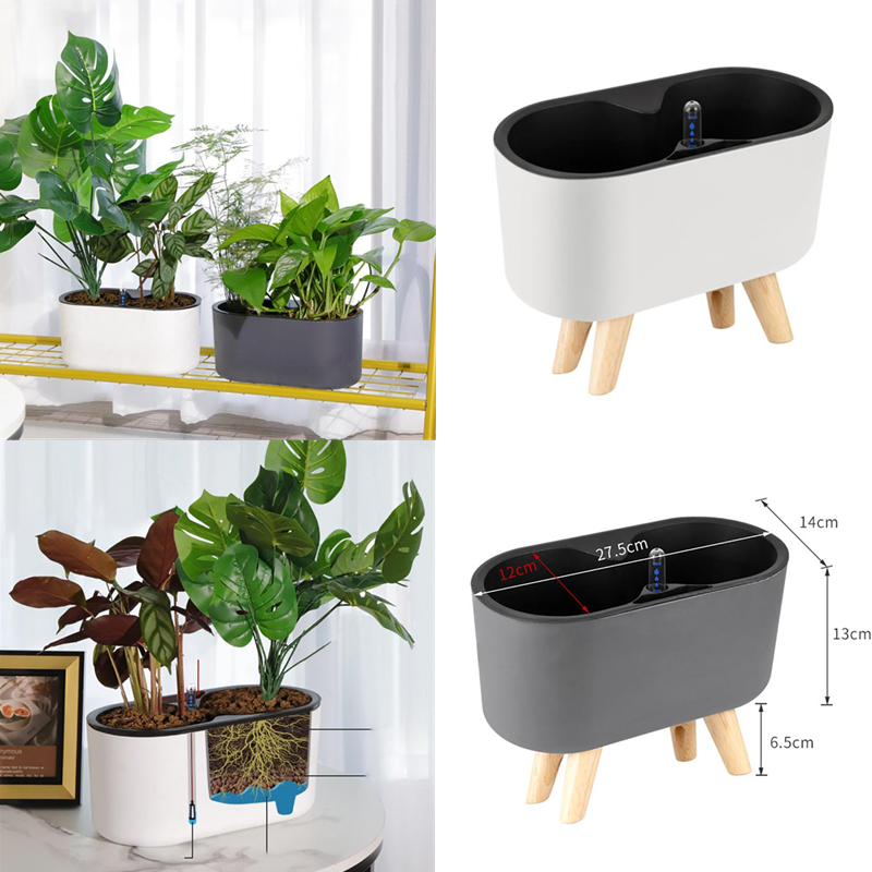 Automatic Plant Waterer - Pianta da interno con indicatore gambe