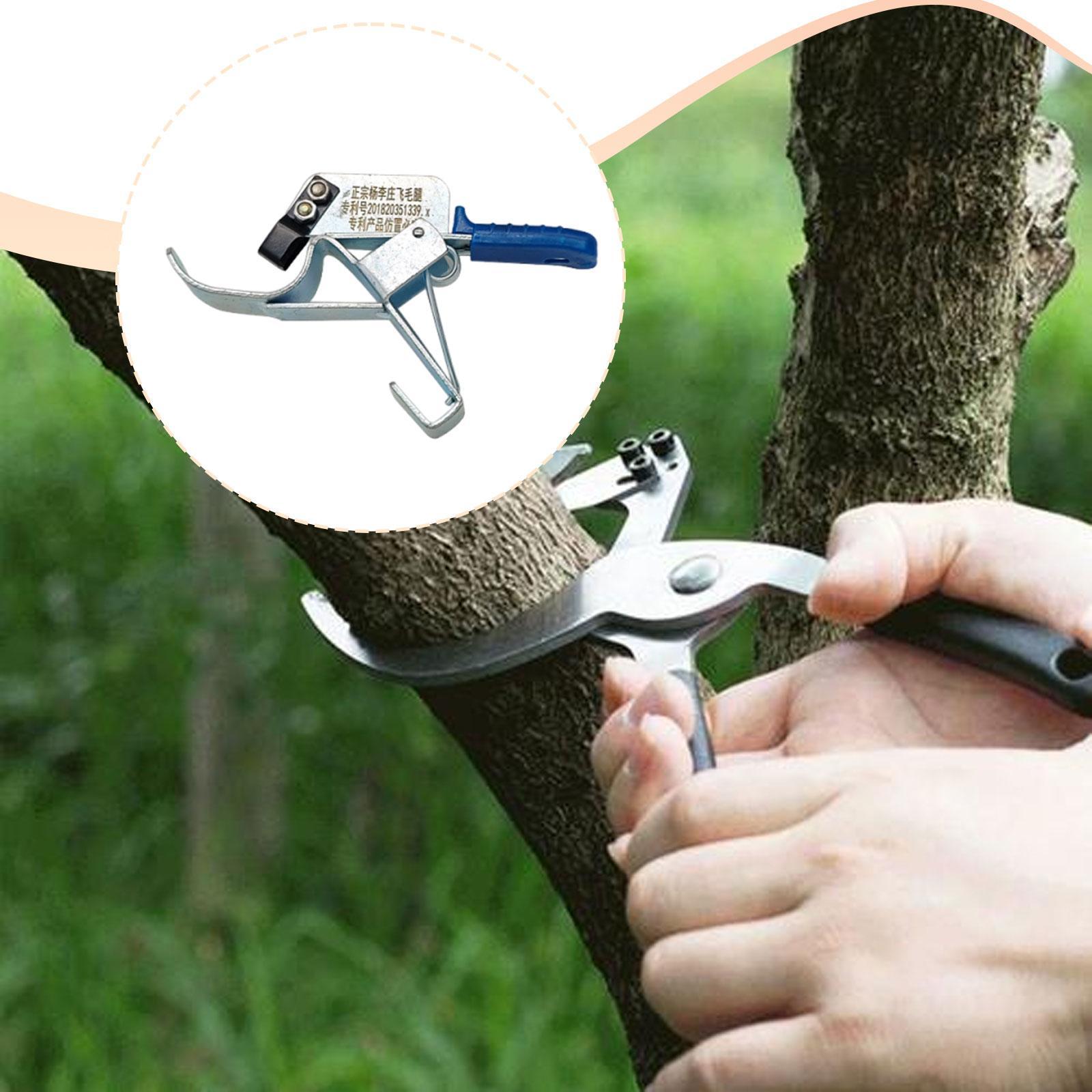 Attrezzo per Legatura Alberi d - Gardening Tools Essential recensione e prezzo