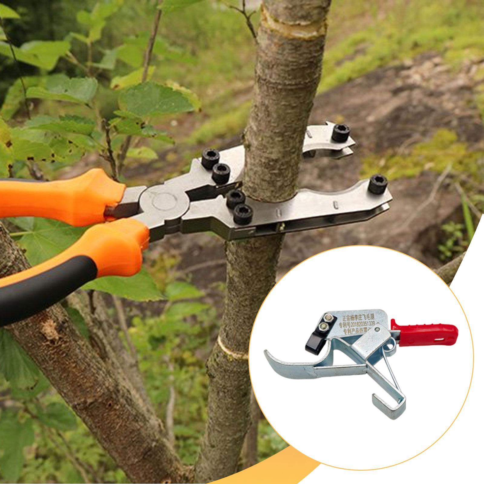 Attrezzo per Legatura Alberi d - Gardening Tools Essential recensione e prezzo