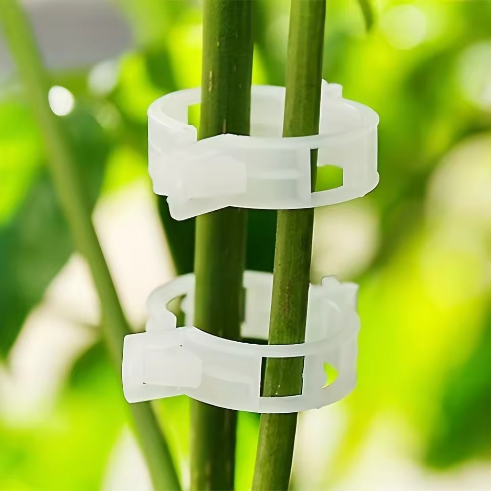 20 Clip di Supporto per Piante - Gardening Tools Vegetables recensione e prezzo