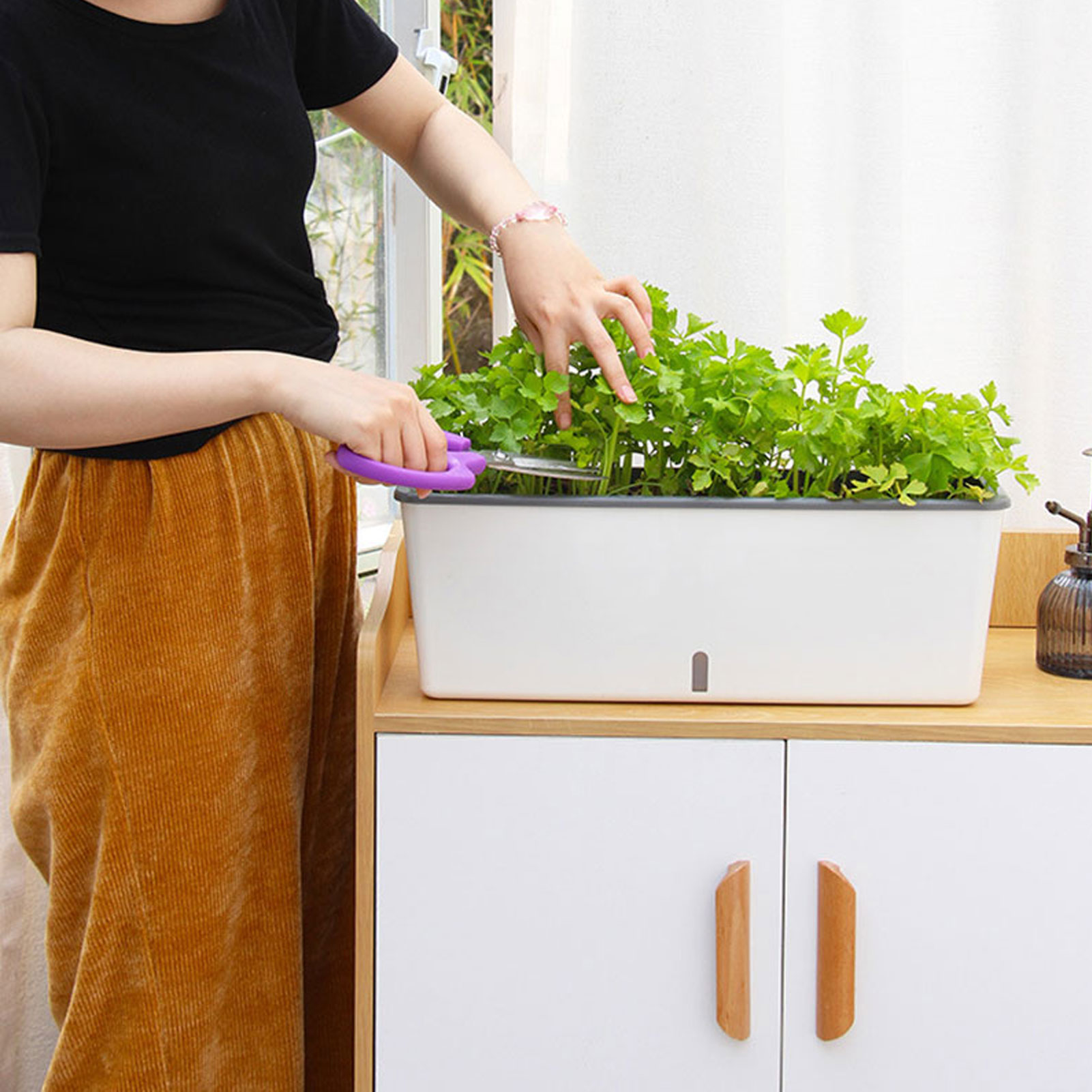 Fioriera autoirrigante con pra - Self-Watering Planter recensione e prezzo