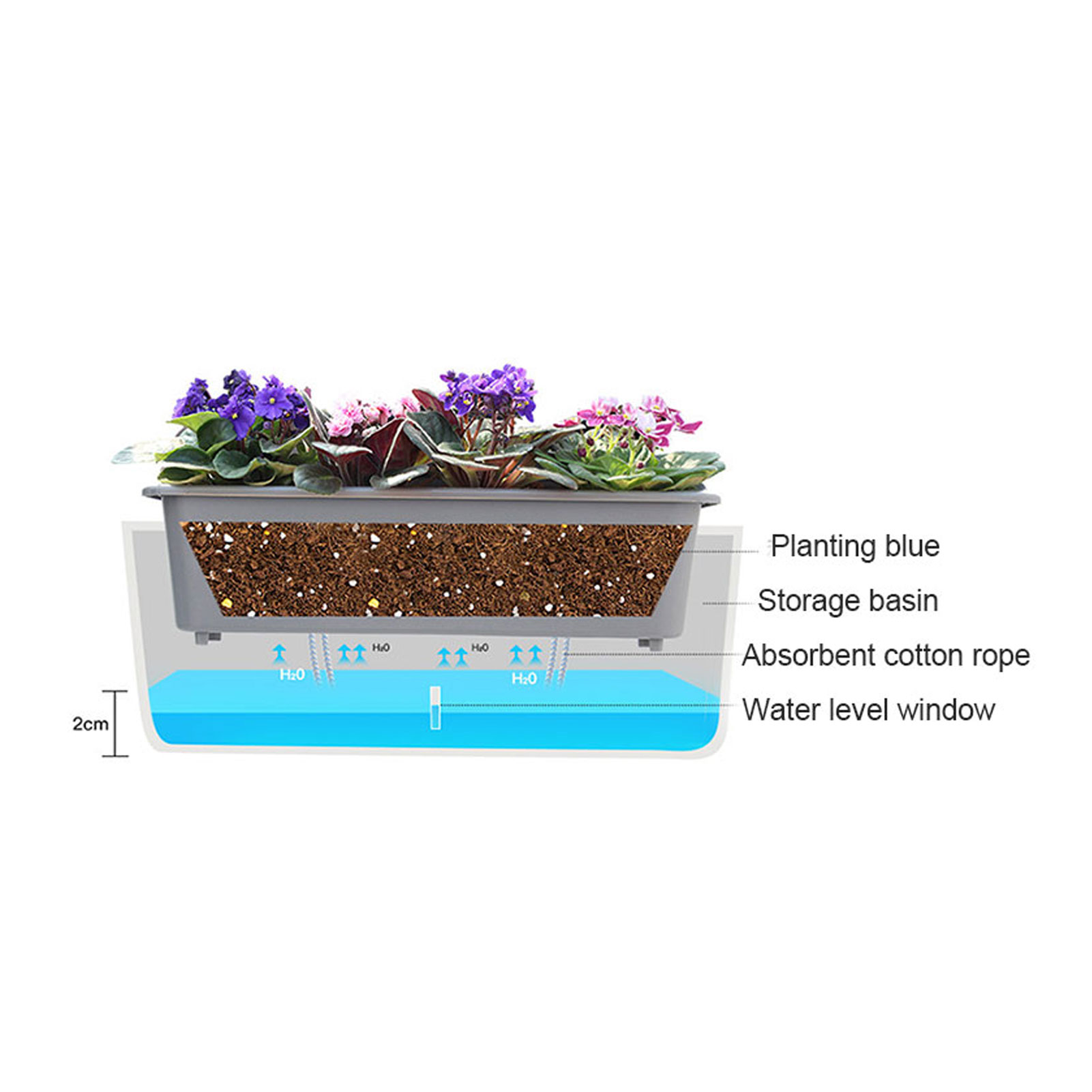 Fioriera autoirrigante con pra - Self-Watering Planter recensione e prezzo