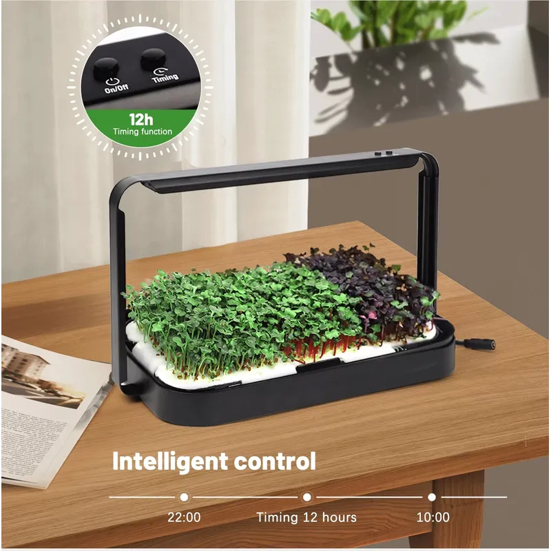 Sistema di coltivazione idropo - Self-Watering Planter recensione e prezzo