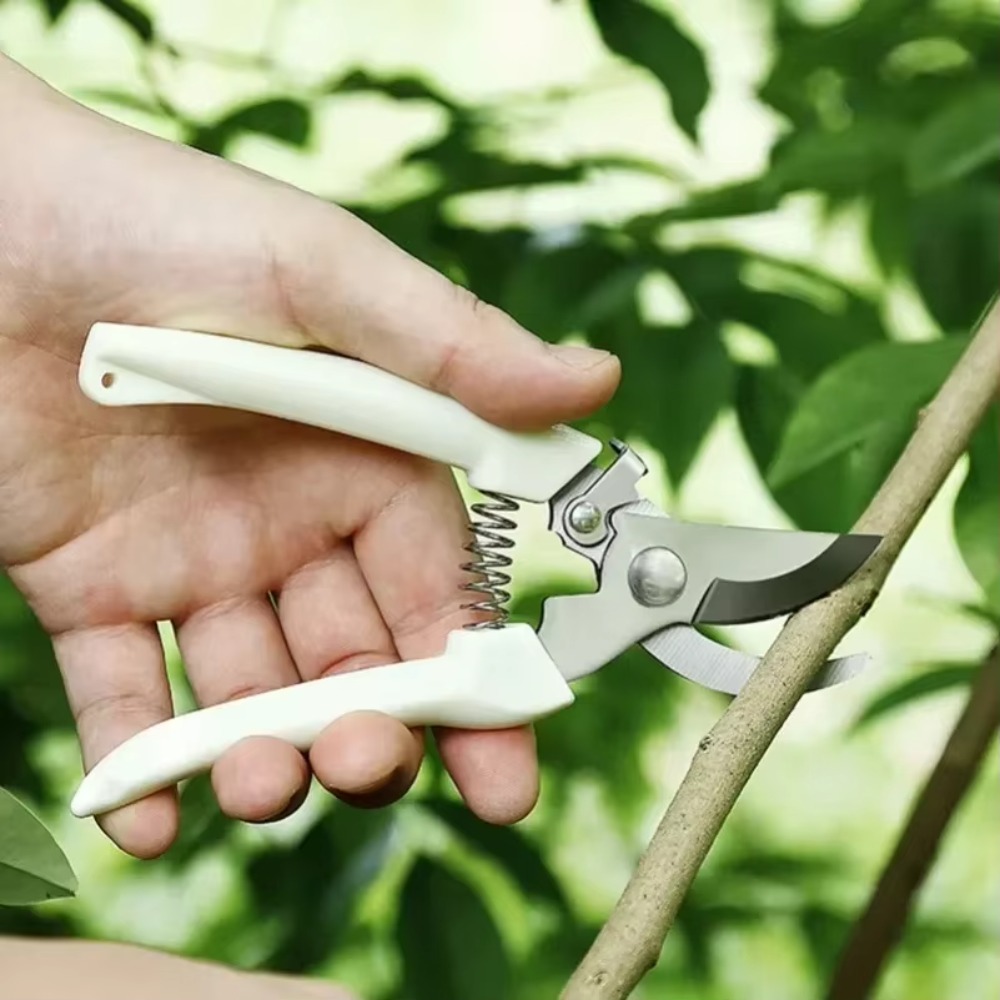 Coltello da Potatura Professio - Gardening Tools Essential recensione e prezzo