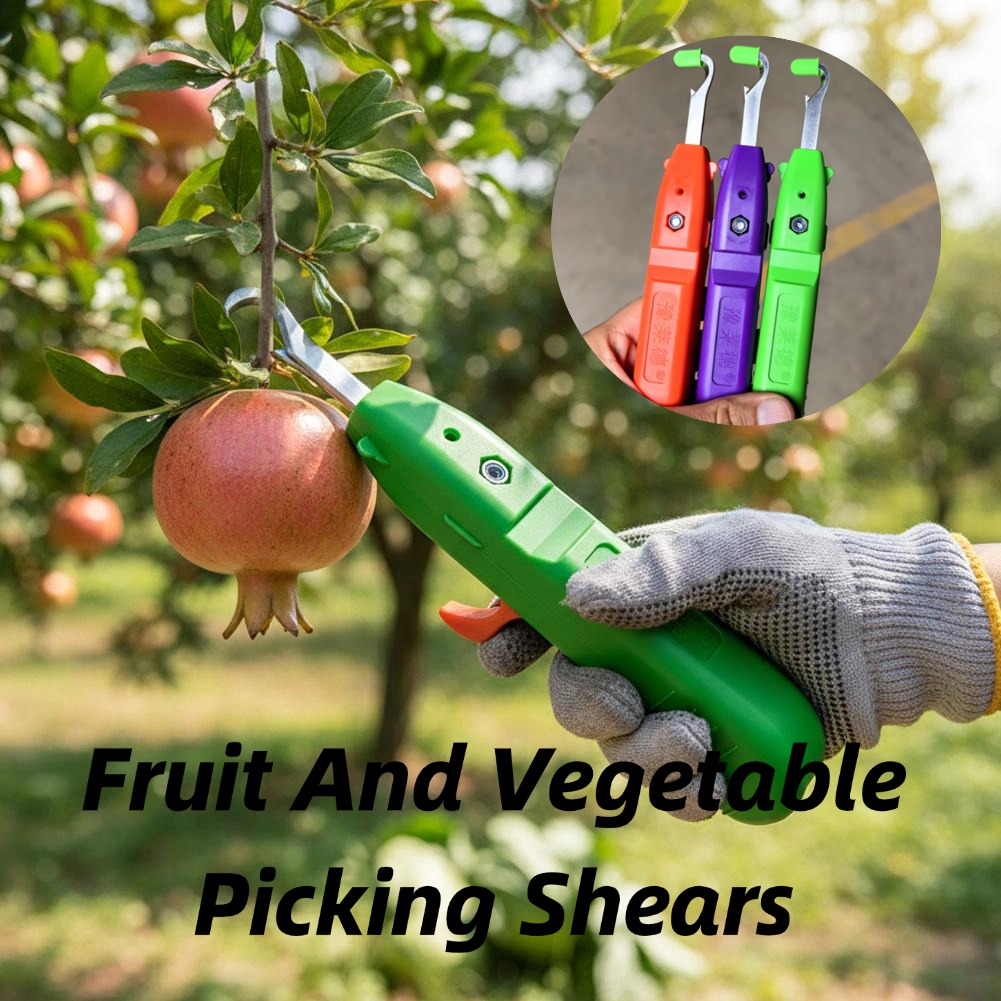 Forbici per la Raccolta di Fru - Gardening Tools Vegetables recensione e prezzo
