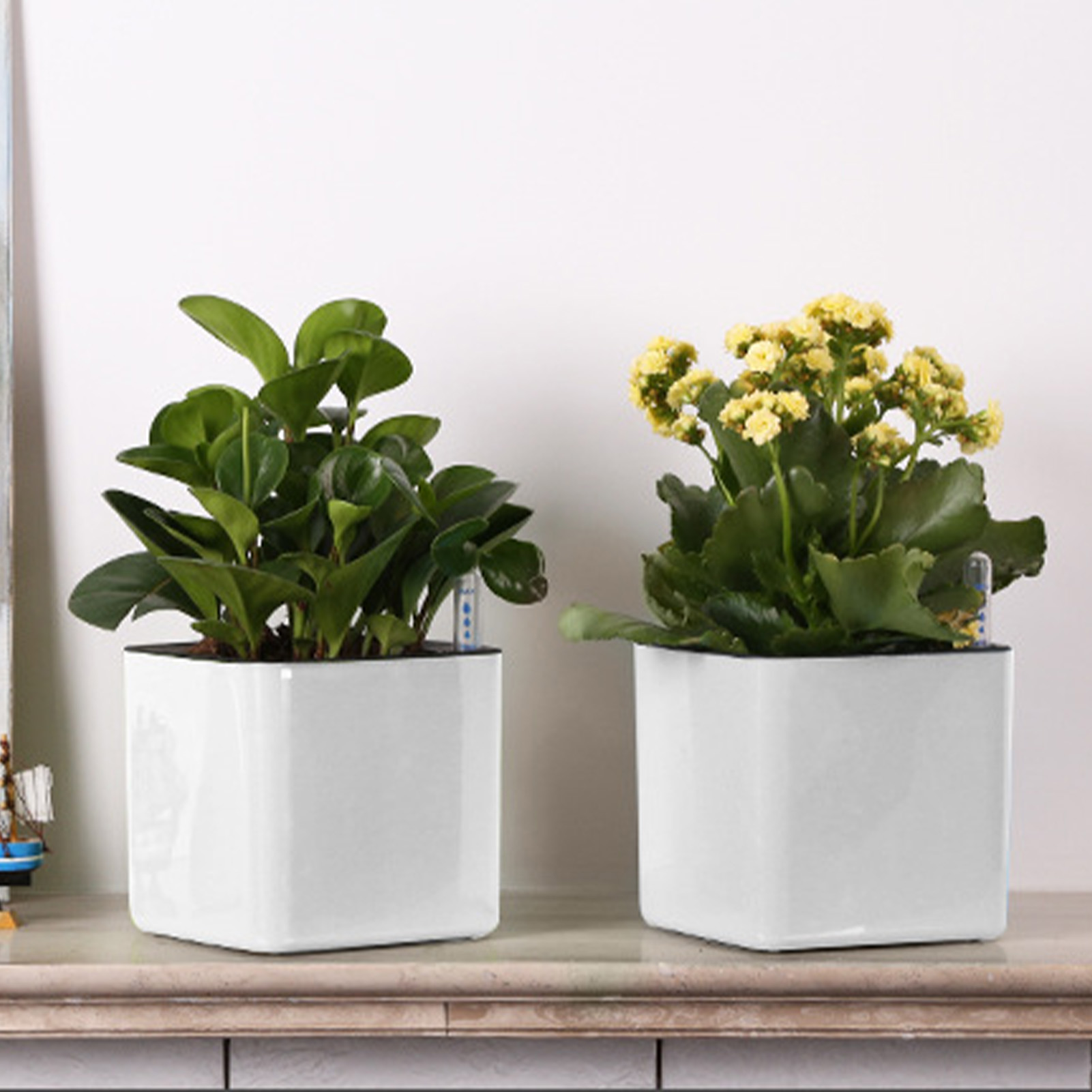 Vaso Autoirrigante con Indicat - Self-Watering Planter recensione e prezzo