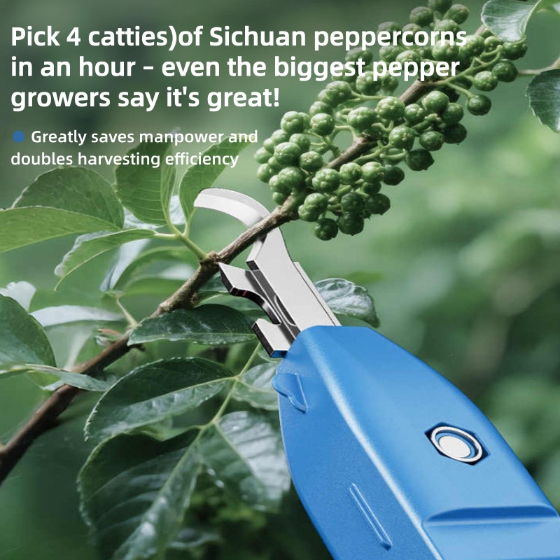 Raccoglitore Multifunzionale p - Gardening Tools Vegetables recensione e prezzo