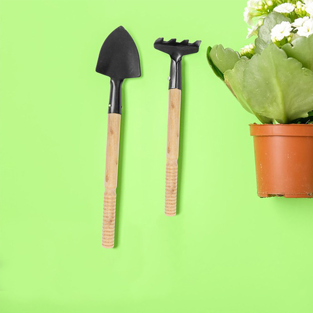 5 Pezzi di Manici in Legno Rob - Gardening Tools Vegetables recensione e prezzo