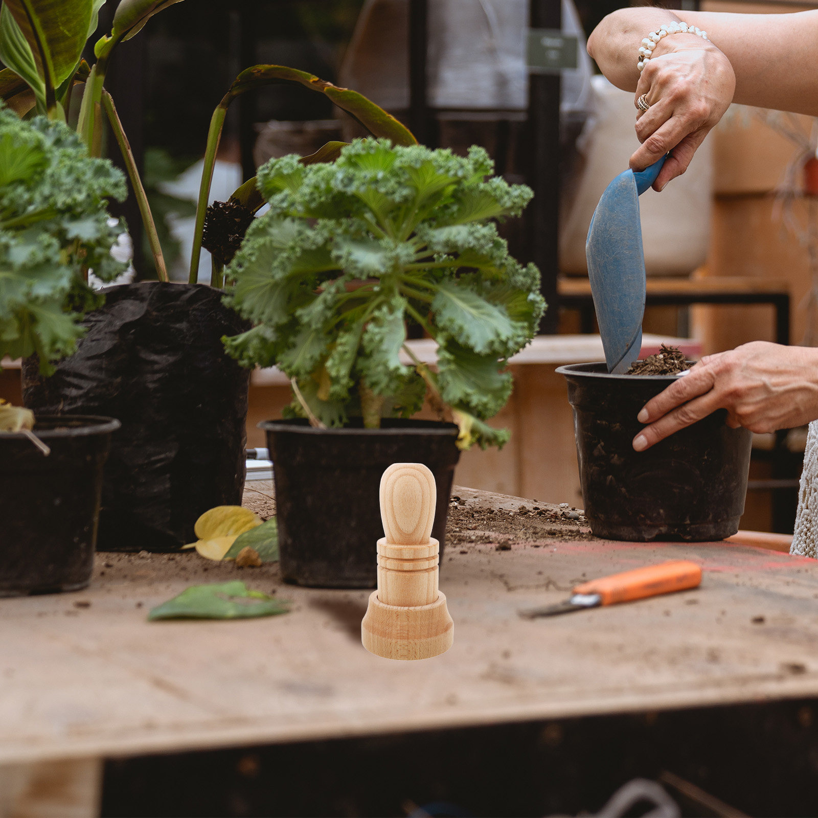 1 set di strumenti in legno pe - Gardening Tools Essential recensione e prezzo