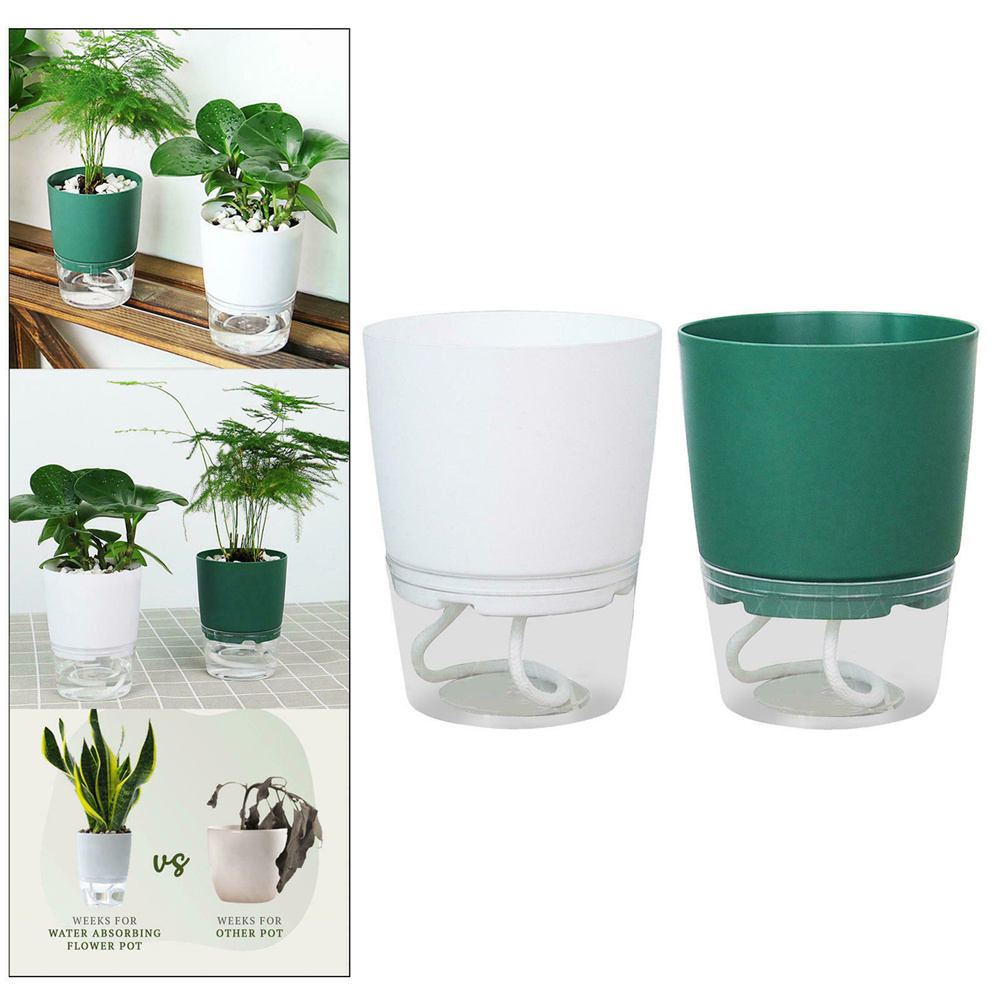 Vaso da fiori idroponico pigro - Automatic Plant Waterer recensione e prezzo