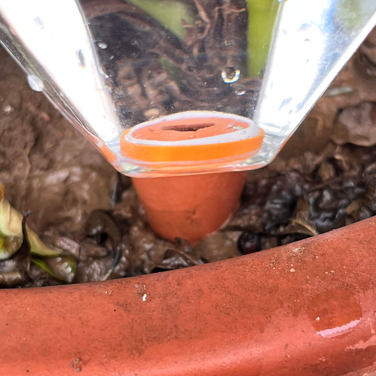 1 pz. Simpatico irrigatore aut - Automatic Plant Waterer recensione e prezzo