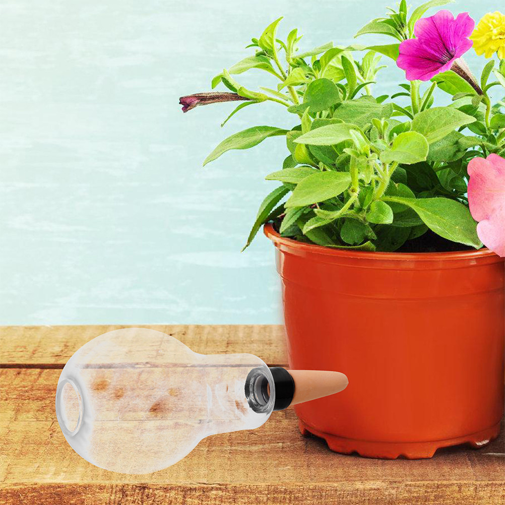 3 pezzi di irrigatori automati - Automatic Plant Waterer recensione e prezzo