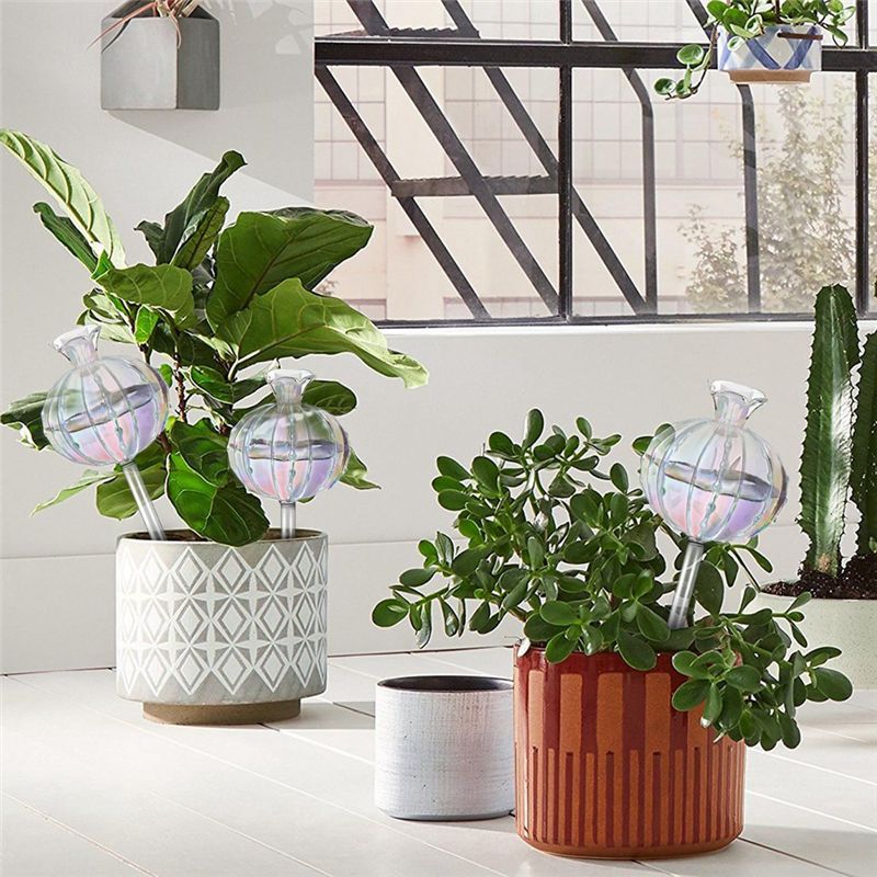 AA94 – Bulbi per l’irrigazione - Self-Watering Planter recensione e prezzo